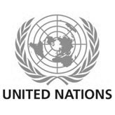 United Nations emblem featuring a world map encircled by olive branches, symbolizing peace and global cooperation.